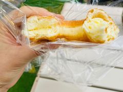 -蒲公英(五里店)
