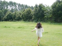 -三圣花乡旅游区