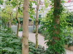 -南宫五洲植物乐园