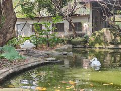 -广州动物园