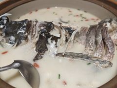 -全乐鱼馆·淳牌有机鱼直营店