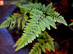 -溪口-滕头旅游景区