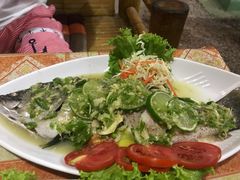 -Jungle Kitchen