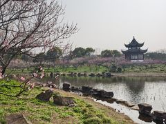 -上海海湾国家森林公园