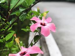 -广州市帽峰山景区