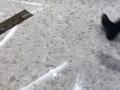 -张生记(丁香国际店)