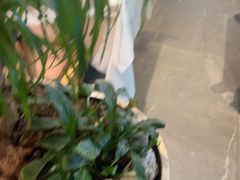 -桂满陇·杭州小馆(巴黎春天浦建店)