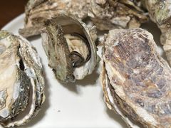-张家卫·阳江菜·小海鲜(肥婆湾桥店)