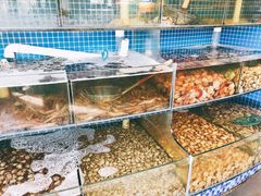 水产区-蟹谢蒸鲜自助餐厅
