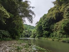 -青城山