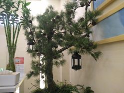 -芳朵美容养生SPA