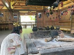 -西双版纳原始森林公园