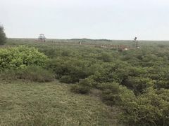 -北海金海湾红树林生态旅游区