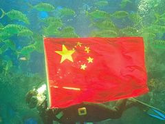 -芜湖新华联大白鲸海洋公园
