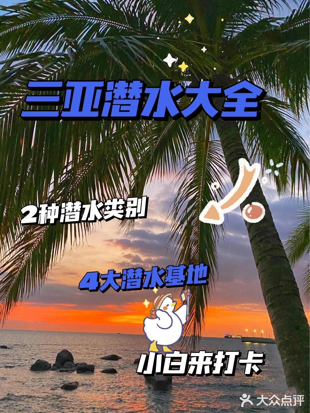 三亚潜水🌊大全 [强] 小白必看[耶]