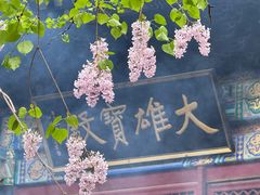 -红螺寺