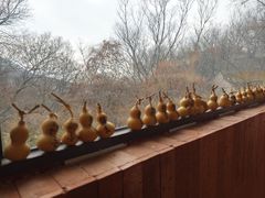 -句容茅山景区