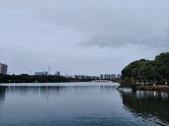 -顺峰山公园