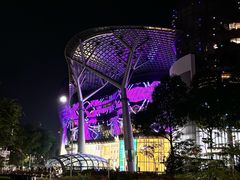 -爱雍·乌节