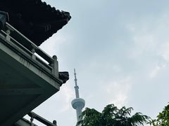 -南京古林公园