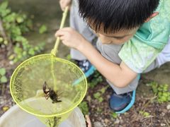 -同銮特种养殖场·龙虾垂钓