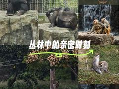 -宁波野生动物园