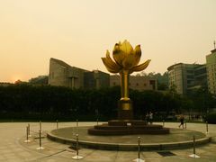 -金莲花广场
