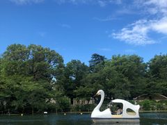 -井之头恩赐公园