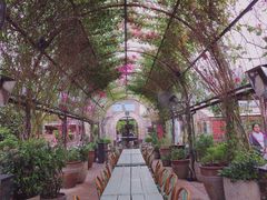 -The Grounds of Alexandria
