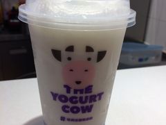 -一只酸奶牛(时代天街A馆店)
