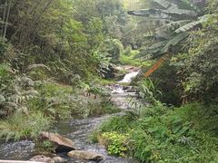 -千泷沟大瀑布旅游区