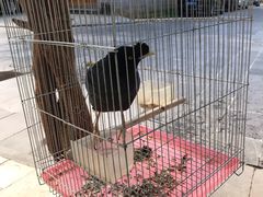 -姚记抚仙湖石锅鱼庄