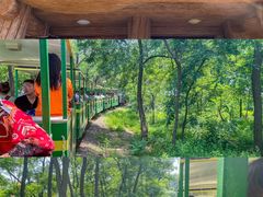 -南戴河国际娱乐中心