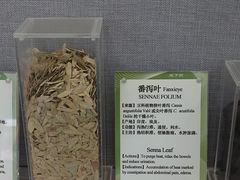 -北京中医药大学-中医药博物馆