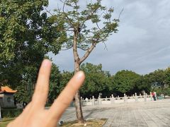-顺峰山公园
