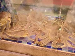 -顺峰(南二环店)