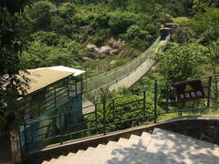 -大金山风景区