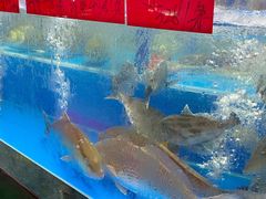 -明本湛江鸡•海鲜小厨(陈家祠店)