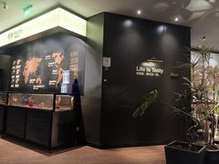-西堤牛排(恒隆广场店)