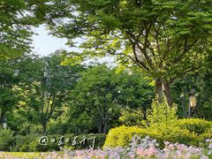 -咸阳湖景区