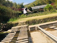 -宁波浙东大竹海景区