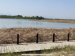 -野鸭湖国家湿地公园