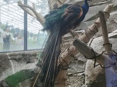 -洛阳龙门海洋馆