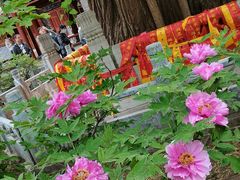 -潭柘寺景区