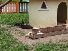 -合肥滨湖国家森林公园