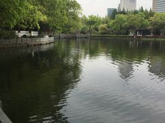 -月湖公园
