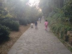 android_upload_pic-旺山景区