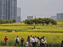 -光明小镇欢乐田园