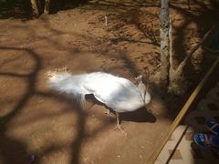 -昆明动物园