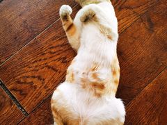 -251#coffee roasters(沿河东路店)